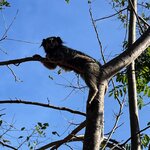 Photo taken by Marur Dev D