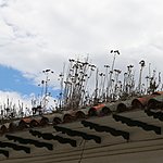 Photo taken by Linda M