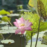 Photo taken by Paulette D