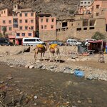 Photo taken by Jessica B