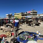 Photo taken by Solomon F