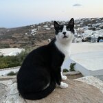 Photo taken by David B