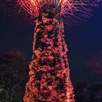 Photo taken by Sabiha K