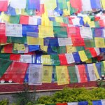 Photo taken by Katherine J