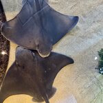 Photo taken by Silvain B