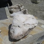 Photo taken by Kristin M