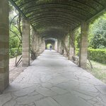 Photo taken by Shanna H