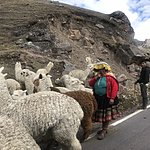 Photo taken by Kristin T