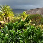 Photo taken by Kathy K