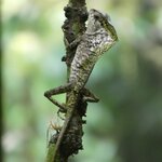 Photo taken by Brett F