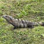 Photo taken by Victoria C