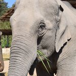 Photo taken by Megan H