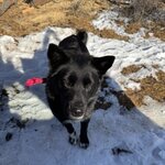 Photo taken by Joseph K