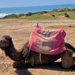 Photo taken by Cara D