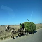 Photo taken by Jen R