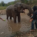 Photo taken by Brandon P