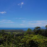 Photo taken by Sean M