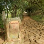 Camino Real from Barichara to Guane | Photo taken by Bonnie S