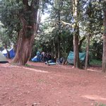 Photo taken by Kristin M