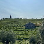 Photo taken by Bobbie X