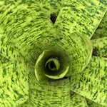 Photo taken by Mary K