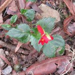 Photo taken by Kristin M