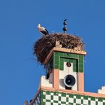 Photo taken by John P