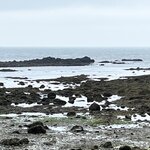 Photo taken by Connie P