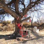 Photo taken by Jenny P