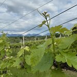 Photo taken by cassie f