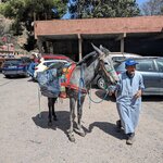 Photo taken by Beth M