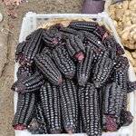 Photo taken by Graham H