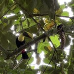 Photo taken by Steven C