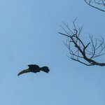 Photo taken by Holly B