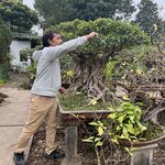 Photo taken by Anil C