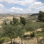 Mount Nebo  | Photo taken by Margaret K
