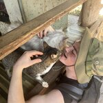 Photo taken by Petralina L