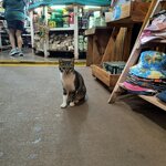 Photo taken by Kaitlin J