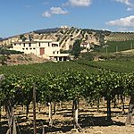 Photo taken by Allyson A