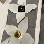 Photo taken by Lisa M