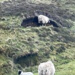 Photo taken by Maria S