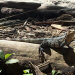 Photo taken by Ora Y