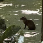 Photo taken by Bert B