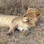 Photo taken by Paul B