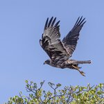 Photo taken by mindy n