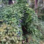 Photo taken by Janice R