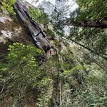 Photo taken by Edit M