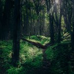 Photo taken by timothy m