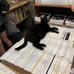 Photo taken by Amanda F