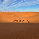 Photo taken by Tom B